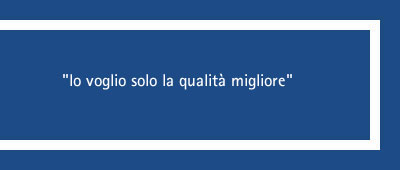 revisione in pvc